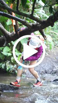 BIB:  <button type="button" onclick="openModal(27824516)" class="btn btn-primary btn-sm float-right" data-toggle="modal" data-target=".modal-high-quality">
                <i class="fa fa-download"></i> Download
                </button>